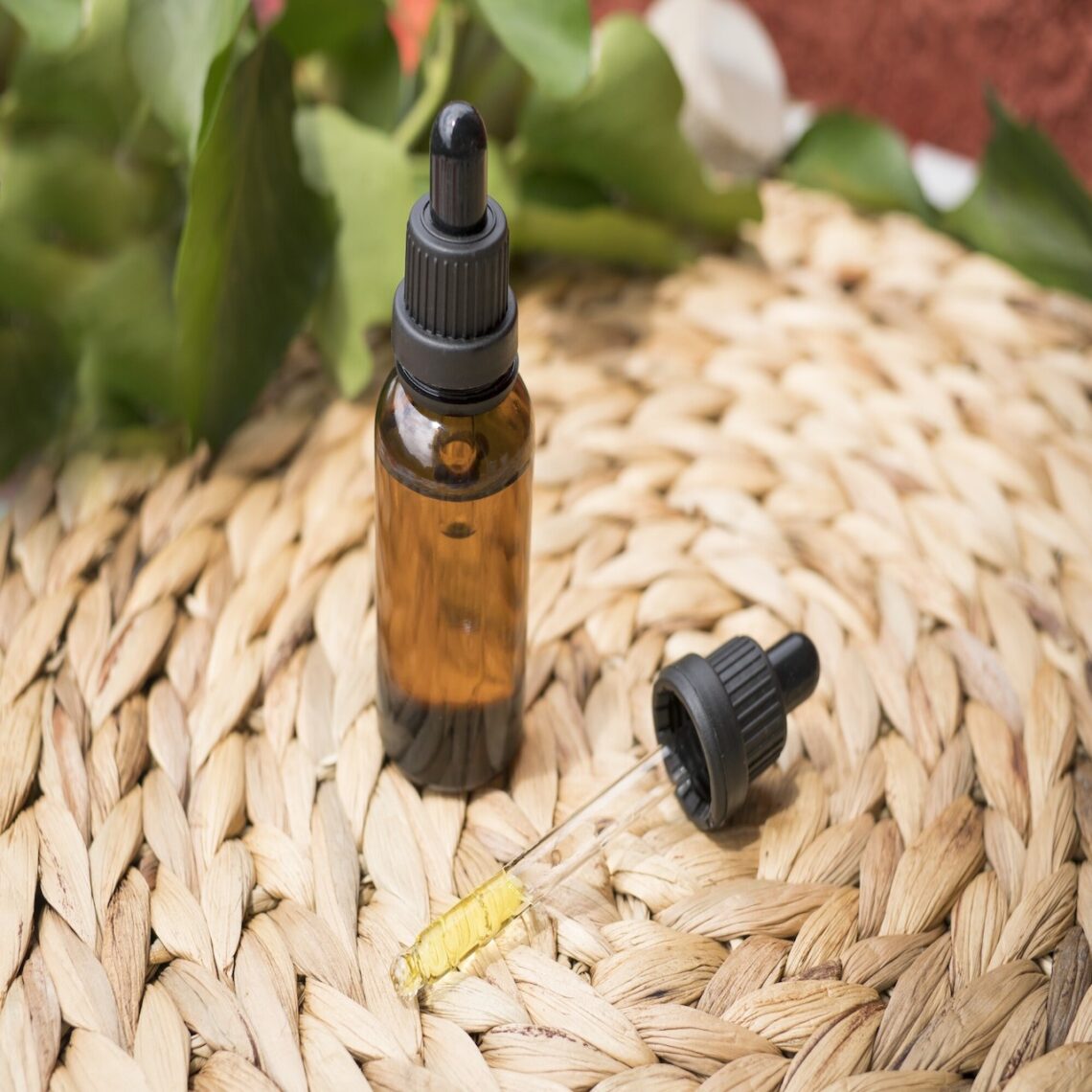 CBD Oil vs. Hemp Oil: What's the Difference Between the Two?